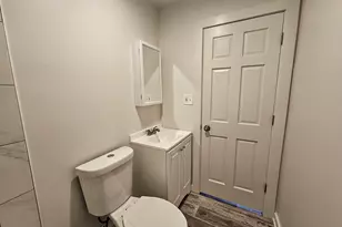 2216 W 21st Pl, Chicago, IL 60608 - Photo 18