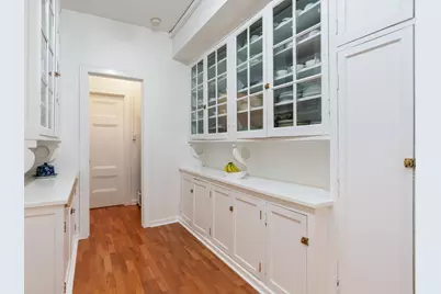 232 E Walton Place #3E, Chicago, IL 60611 - Photo 22