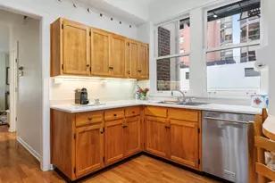232 E Walton Pl, Chicago, IL 60611 - Photo 18