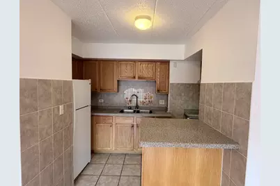 1828 S Wentworth Avenue #3E, Chicago, IL 60616 - Photo 4