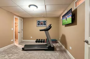 1404 Hatchwood Ct, Naperville, IL 60565 - Photo 44