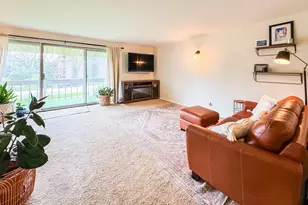 15801 Orlan Brook Dr, Orland Park, IL 60462 - Photo 4
