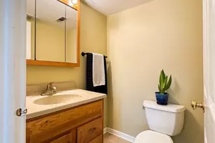 15801 Orlan Brook Dr, Orland Park, IL 60462 - Photo 10