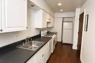 644 W Oakdale Ave, Chicago, IL 60657 - Photo 8