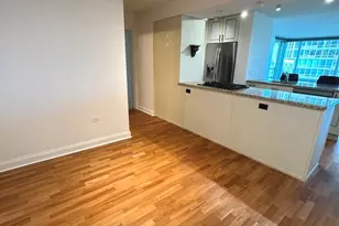 9725 Woods Dr, Skokie, IL 60077 - Photo 4