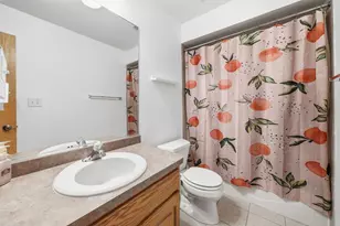 617 Enclave Ln, Manteno, IL 60950 - Photo 24