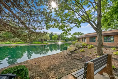 1217 S Old Wilke Road #303, Arlington Heights, IL 60005 - Photo 26
