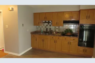 1233 W 110th Place, Chicago, IL 60643 - Photo 8