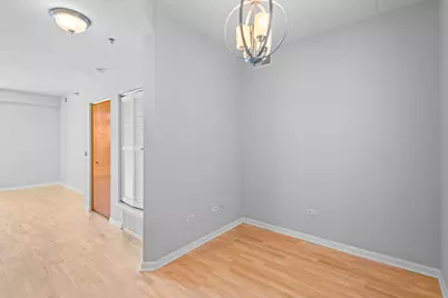 1250 S Indiana Avenue #704, Chicago, IL 60605 - Photo 24