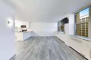 4250 N Marine Dr, Chicago, IL 60613 - Photo 8