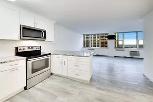 4250 N Marine Dr, Chicago, IL 60613 - Photo 4