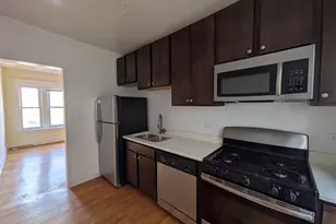 1524 N Kedzie Ave, Chicago, IL 60651 - Photo 20
