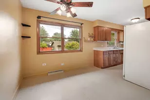 947 Diane Ave, Elgin, IL 60123 - Photo 14