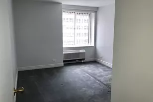 211 E Ohio St, Chicago, IL 60611 - Photo 8