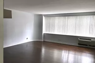 211 E Ohio St, Chicago, IL 60611 - Photo 4
