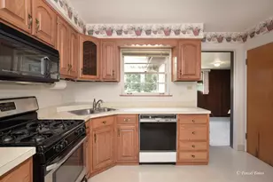 516 S Main St, Mount Prospect, IL 60056 - Photo 6