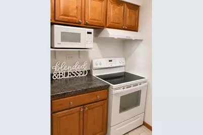 836 E Old Willow Road #11111, Prospect Heights, IL 60070 - Photo 10