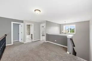 19830 Mulroy Cir, Tinley Park, IL 60487 - Photo 20