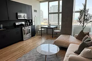 1720 S Michigan Ave, Chicago, IL 60616 - Photo 2