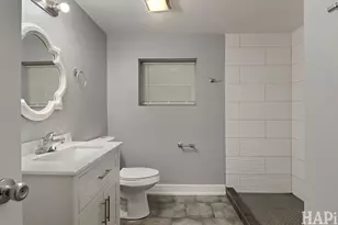 7837 S Laflin St, Chicago, IL 60620 - Photo 34