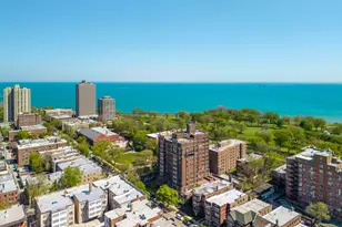 6901 S Oglesby Ave, Chicago, IL 60649 - Photo 48