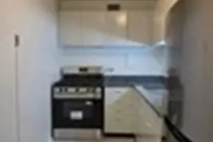 1450 E 55th Pl, Chicago, IL 60637 - Photo 4