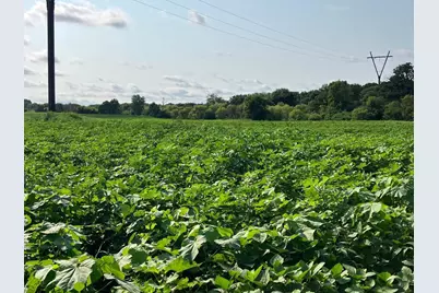 000 Pilgrim Road, Dixon, IL 61021 - Photo 12
