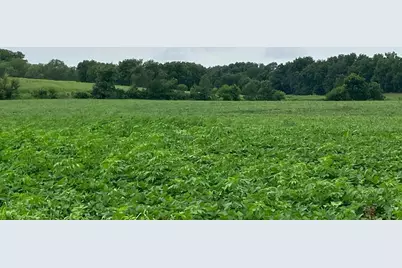 000 Pilgrim Road, Dixon, IL 61021 - Photo 6
