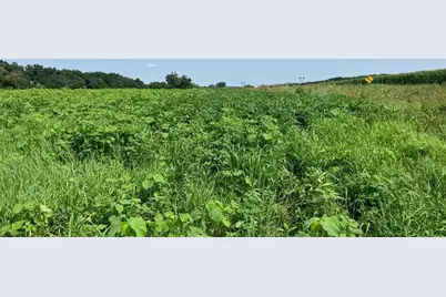 000 Pilgrim Road, Dixon, IL 61021 - Photo 10