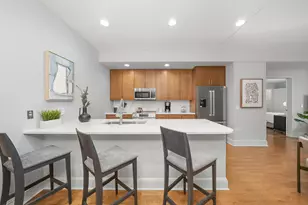 850 N Lake Shore Dr, Chicago, IL 60611 - Photo 12