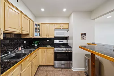 929 S Oak Park Avenue #3NW, Oak Park, IL 60304 - Photo 8