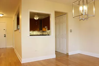 4700 Old Orchard Road #110, Skokie, IL 60076 - Photo 8
