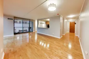 201 N Westshore Dr, Chicago, IL 60601 - Photo 10