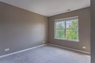 133 Willey St, Gilberts, IL 60136 - Photo 14
