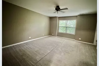 133 Willey Street, Gilberts, IL 60136 - Photo 12