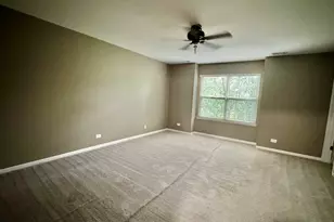 133 Willey St, Gilberts, IL 60136 - Photo 12