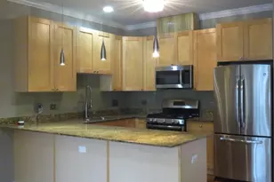 633 E Bowen Ave, Chicago, IL 60653 - Photo 6