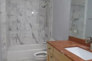 633 E Bowen Ave, Chicago, IL 60653 - Photo 12