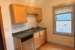 5302 N Luna Ave, Chicago, IL 60630 - Photo 10