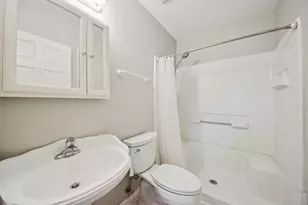 4292 White Birch Dr, Lisle, IL 60532 - Photo 40