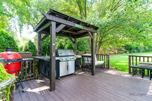 39598 Orchard Bluff Ln, Wadsworth, IL 60083 - Photo 48