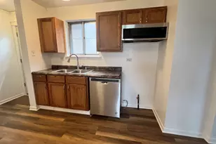 8815 S Halsted St, Chicago, IL 60620 - Photo 6