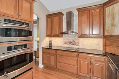 20400 Mackinac Point Drive, Frankfort, IL 60423 - Photo 18