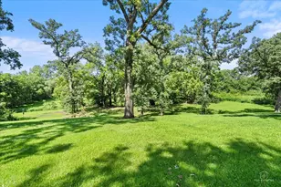 49W693 Hinckley Rd, Big Rock, IL 60511 - Photo 62