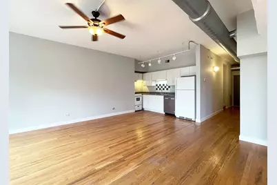 1846 S Loomis Street #201, Chicago, IL 60608 - Photo 4