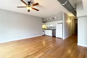1846 S Loomis St, Chicago, IL 60608 - Photo 4