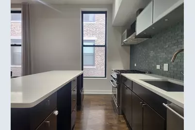 114 N Aberdeen Street #3, Chicago, IL 60607 - Photo 8