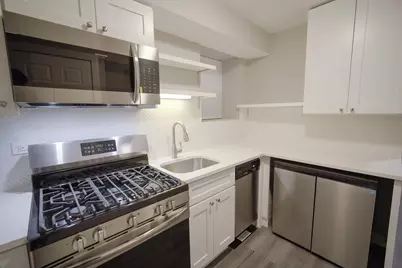 2253 S Whipple Avenue #GARDEN, Chicago, IL 60623 - Photo 4