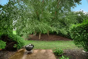 923 Fieldside Dr, Matteson, IL 60443 - Photo 20