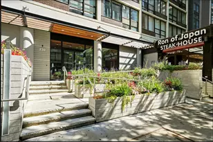 230 E Ontario St, Chicago, IL 60611 - Photo 1